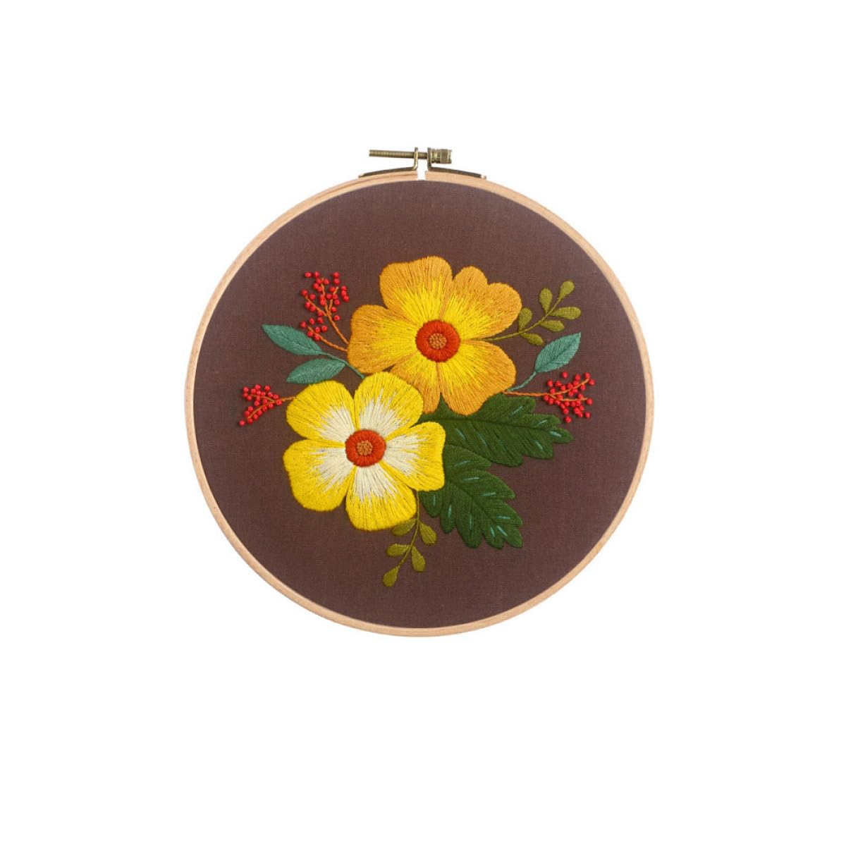 FOMIYES Kit de Broderie pour Débutants en Punch Embroidery avec Accessoires en Bois et Coton, Cercle Rond 8 Pouces, Aiguilles et Fil pour DIY Art Craft Garçon et Filles