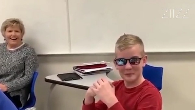 Amazon.com: ZIIZZ Color Blind Glasses - Multi-Coated Blue Lens Red