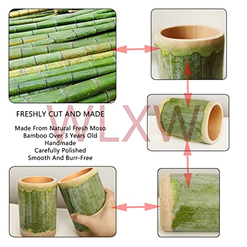Tasse à café créative WLXW incassable pour boissons glacées et jus