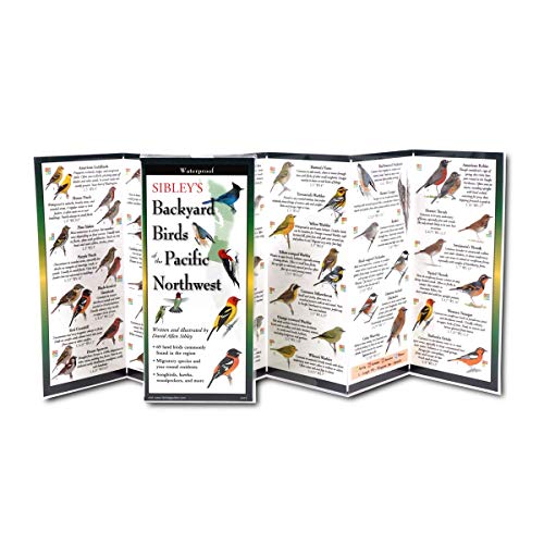 Earth Sky + Water FoldingGuide� - Sibley�s Backyard Birds of the Pacific Northwest - 10 Panel Foldable Waterproof Nature Identification Guide