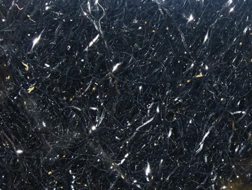 Ice Dub Creepy Crawley Black