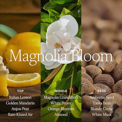 Image of Antica Farmacista Room Spray - Elegant House Spray - Long-Lasting, Room Fragrance - Luxury Housewarming Gift - Magnolia Bloom, 3.4 fl oz