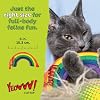 Yeowww! Catnip Toy, Rainbow