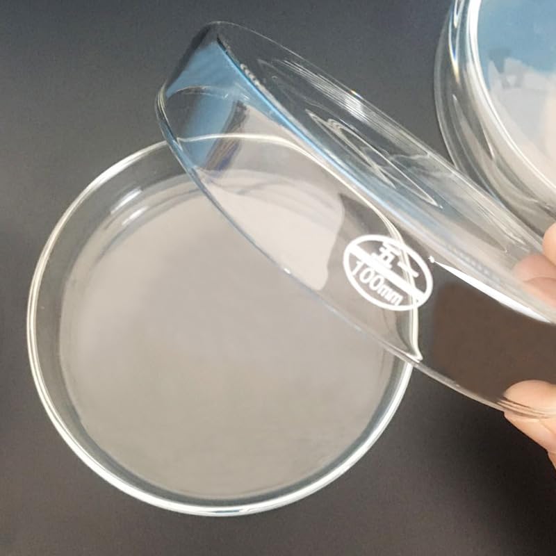 2 Stück Glas Petrischalen Hitzebeständig Flache Labor Petrischale Klar Borosilikatglas 60–200mm(20cm)