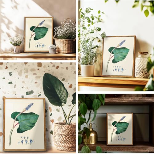 crmotu Botanical Framed Wall Art, Green Leaf Canvas Art Prints, Nature Plant Study Vintage Pictures, Minimalist Rustic Farmhouse Wall Decor, Bedroom Kitchen Desktop Bathroom Decorations, 8x10inch