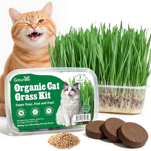 Groundio Cat Grass for Indoor Cats - Complete Growing Kit - Organic Non-GMO Cat Grass Seeds Soil & BPA-Free Planter - Heirloom Wheat & Oat Mix - Easy Indoor Planting Kit Locally Sourced (3 Pack)