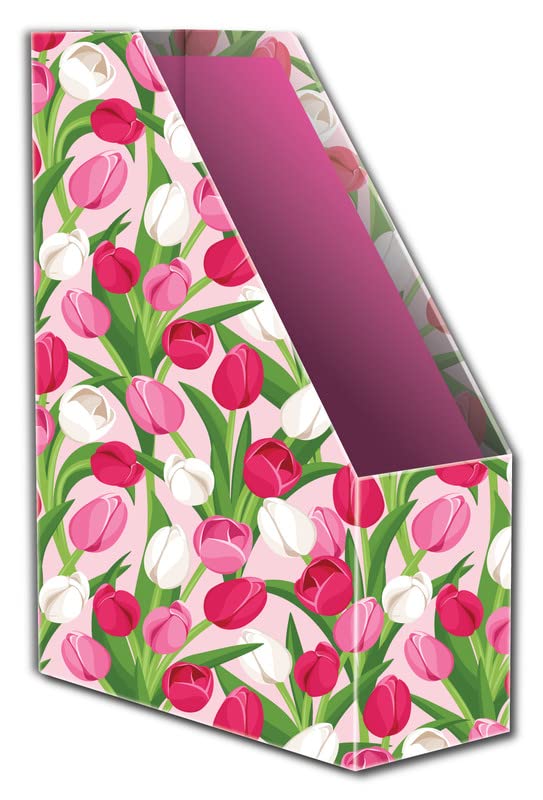 Nourish Foldable Magazine Holder Organiser -Model-38
