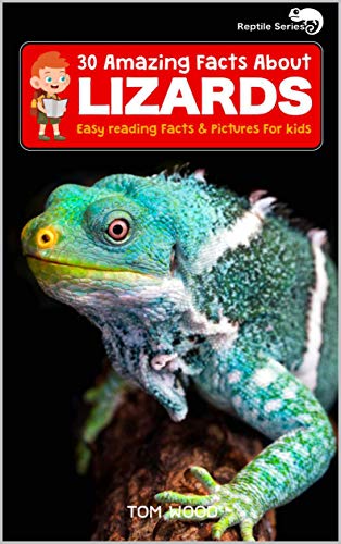 amazon reptile store