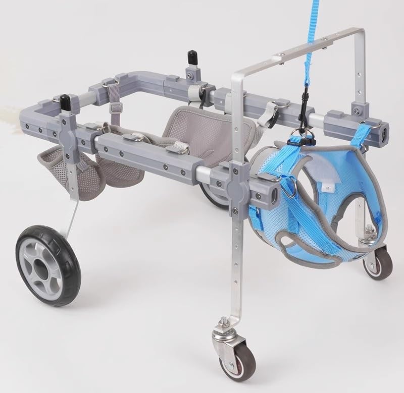 Chariot pour chien handicapé à 4 roues pour promenades et parc