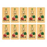 JOVYTH 10 Llaveros Amuleto Mariquita + 1 Tarjeta – Con Trébol de Cuatro Hojas, para Regalo de Despedida, Estudiantes, Examen, Navidad, Suerte