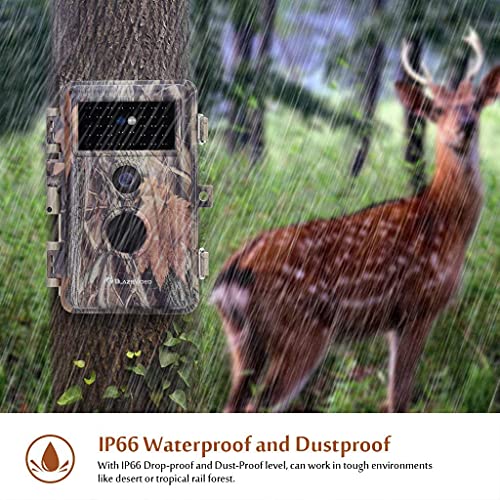 BLAZEVIDEO Game Trail Deer Camera 24MP 1296P H.264 Video Hunters Wildlife Hunting Cam with No Glow Night Vision Motion Sensor Activated IP66 Waterproof & Password Protected Photo & Video Model