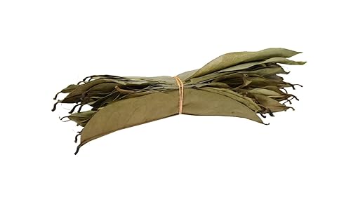 Miniatura 7 de Lakpura Hojas secas de guanábana silvestre (Guanabana, Graviola, Guyabano) (7.05 oz)