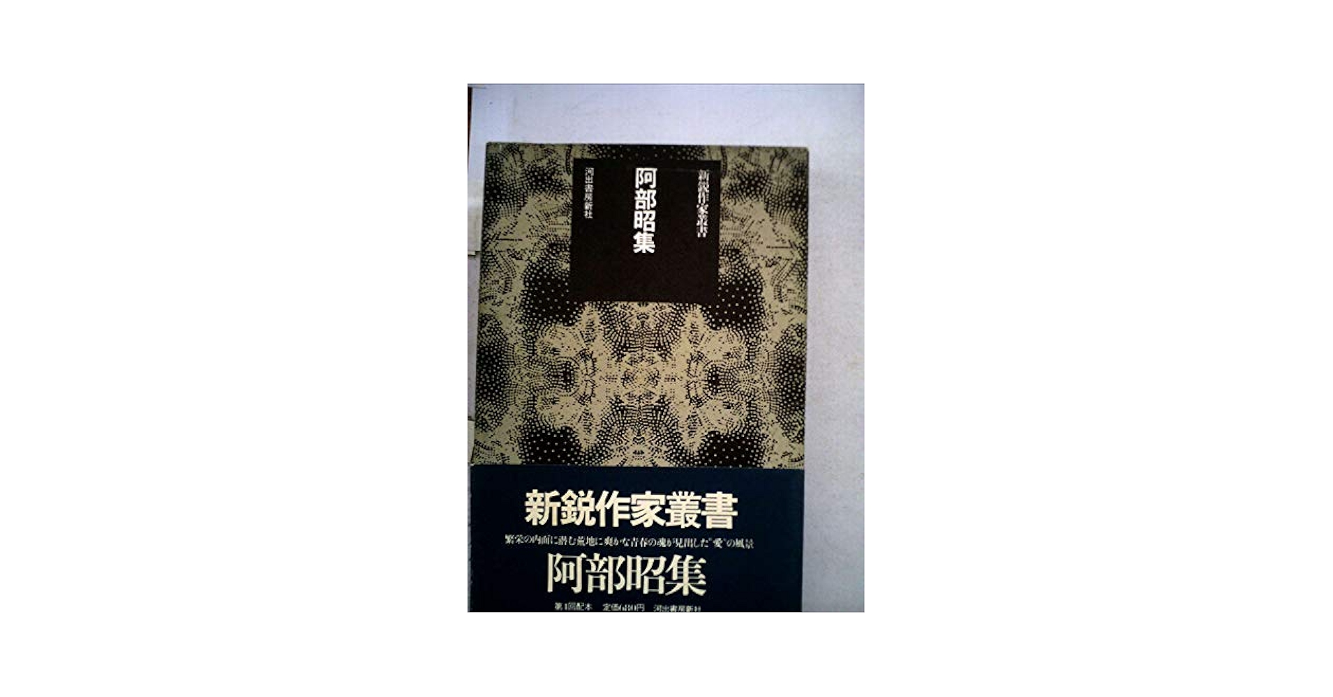 阿部昭集 Amazon.co.jp: 阿部昭集〈第1巻〉子供部屋 再会 ほか : 阿部 昭