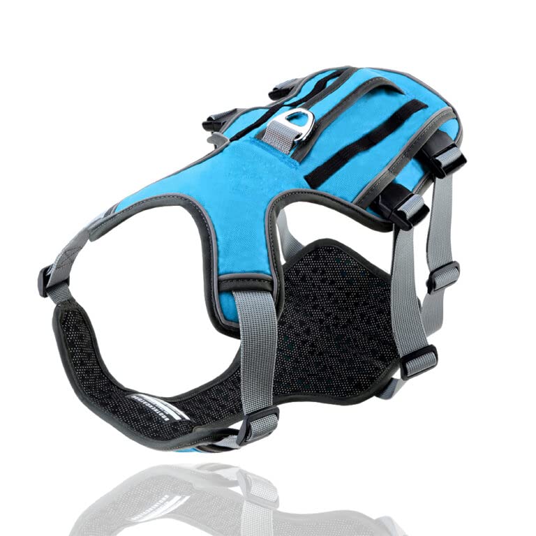 Sniffr Dog Harness | No Pull Harness | Small Medium Large Dogs | Easy Control Dog Chest Belt - No More Pulling or Choking (Small, Sky Blue) (B0BNBSRWJ7) Amazon Price History, Amazon Price Tracker