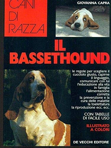  Il Bassethound