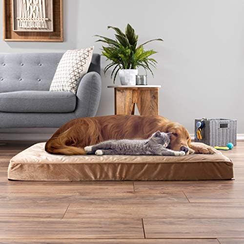 Dog Bed with Removable Cover – 46x27 Pet Bed - 4-Inch Egg Crate Style Memory Foam Orthopedic Dog Bed and Non-Slip Crate Bed by PETMAKER (Tan)