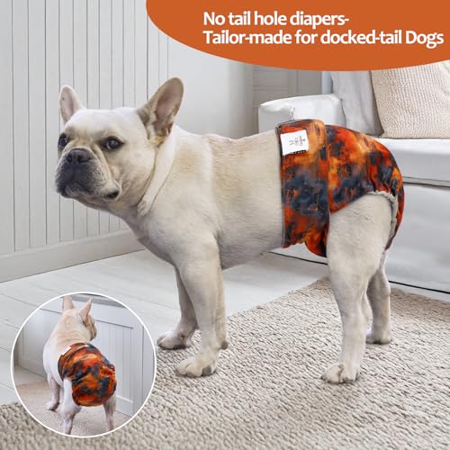 Image of CuteBone Washable Dog Diapers Female No Tail Hole 3 Pack Reusable Doggie Period Training Pants for Docked-Tail Frenchie French Bulldog Boston Terrier Without Tail WWD28XL