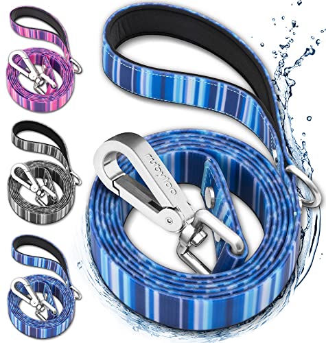 Rubyloo Waterproof Dog Leash 6Ft | 100% Waterproof, Stink Proof, Odor Proof, Fade Proof, Dirt Proof | Soft Padded Handle, Easy Clean | Rust & Corrosion Resistant Zinc Alloy Clip & D-Ring | Blue (1") #TOP6
