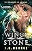 Wings of Stone (The Dragons of Ascavar Book 1)