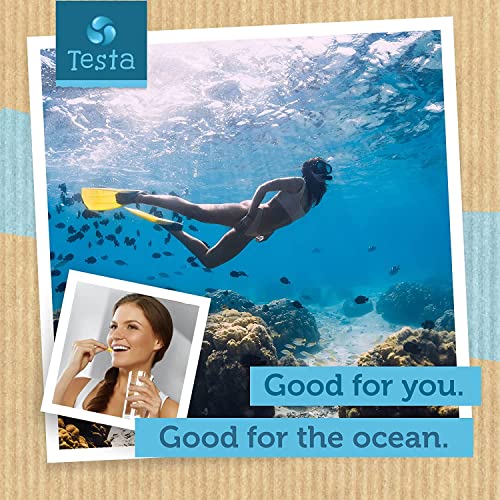 Testa Omega 3 Supplement - 250Mg Dha From Algae Oil - Vegan Omega 3 - Supports Brain, Eye & Joint Health - Not From Fish, Pure Algae Capsules - Two Months Supply #TOP2