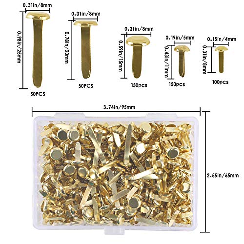 AILANDA 500 Pezzi Fermacampioni Scrapbooking