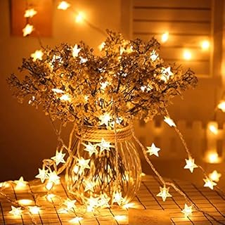 String Lights, 5M 40 LED Star Light Garden Outdoor Lights Battery Operated Lights, 2 Modes Fairy Lighting, Decoration for Indoor/Outdoor, Party, Festivals (Warm White)