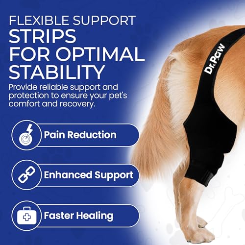 Image of Dog Knee Brace - Test Version (Small)