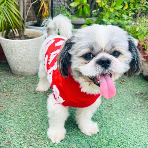 Image of Lulala Turtleneck Dog Sweater - Winter Dog Clothes for Small Dogs, Pet Pullover Jumper with Leash Hole (Red-16 Inch)