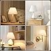 Small Lamp Shades Set of 2, 5.5