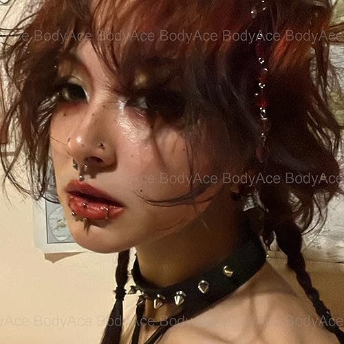 BodyAce 12PCS Spike Rook Earrings Eyebrow Rings, 316L Surgical Steel 16G Curved Barbell Cartilage Helix Earring, Lip Rings Tragus Daith Piercing Jewelry3