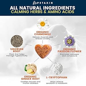 2-Pack-Petaxin-Calming-Treats-for-Dogs-Stress-Anxiety-Relief-for-Dogs-Supports-Calm-Relaxed-Behavior-Calming-Chews-for-Dogs-with-Chamomile-Ginger-More-for-Barking-Fireworks-240-Chews - Cucciolini Doodles   2-Pack-Petaxin-Calming-Treats-for-Dogs-Stress-Anxiety-Relief-for-Dogs-Supports-Calm-Relaxed-Behavior-Calming-Chews-for-Dogs-with-Chamomile-Ginger-More-for-Barking-Fireworks-240-Chews