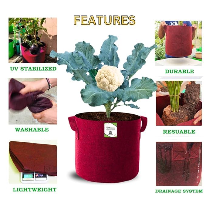 Image of OON Geo Grow Bag for Terrace and Flowers Vegetable Gardening, Premium Geo Fabric 450 GSM Plant Bags, Maroon Color, Eco Friendly Geo Fabric (5, Maroon, 6X6 INCH)