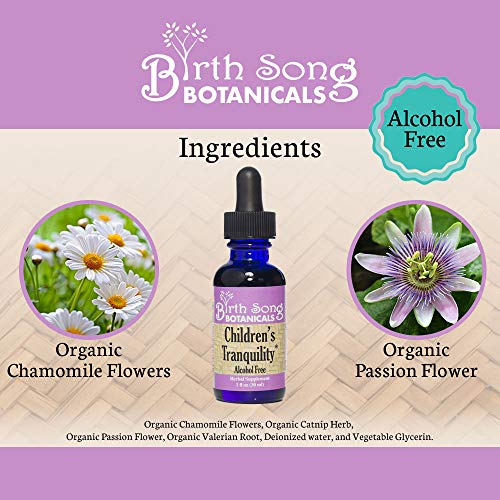 Birth Song Botanicals Children's Tranquility Tincture, Herbal Sleep Aid Supplement With Valerian Root And Chamomile, 1Oz Bottle #TOP2