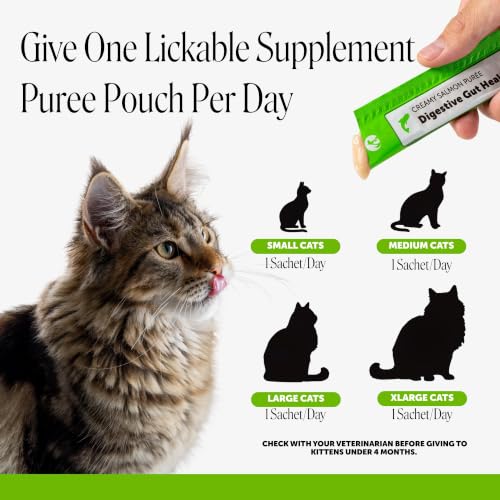 Image of Cat Probiotic Lickable Treats for Digestive Health - Squeezable Puree Pouches for Cats - Feline Constipation + Promotes Stool Regularity, Prebiotics Fiber Gut Flora Sensitive Stomach (Salmon, 20 Ct)