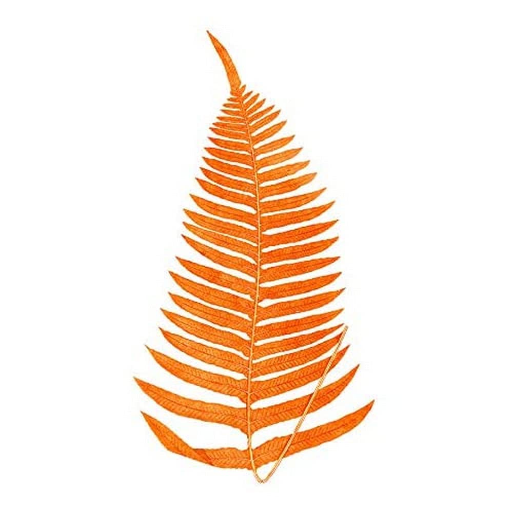 Wee Blue Coo Botanics Red Orange Fern Unframed Art Print Poster Wall Decor 12x16 inch