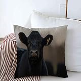 Dimensiones: 45 x 45 cm / 18 x 18 pulgadas (desviación de 1-2 cm). Asegúrese de que su almohada sea adecuada para este tamaño. Sin inserto ni relleno. El Funda de almohada de lino es fácil de instalar.
