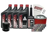 Cyclemax Standard 10W-40 Full Service Kit compatible with 2002-2009 Honda VTX 1800 VTX1800 with Spark Plugs and Shaft Drive Oil