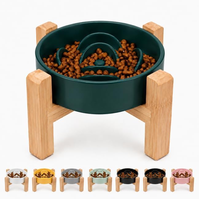 Comedouro elevado de cerâmica com labirinto para cães Petygooing Verde, 28,96 x 24,89 x 11,43 cm