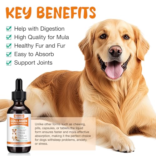 Flüssiges Kollagen für Hunde 60ml - Unterstützt Hüftgelenkflexibilität, Hautgesundheit & Juckreizlinderung - Fördert Verdauung, Immunsystem & Fellvitalität - Gelenknahrung mit Kollagen