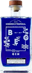 BEG - Modern & Tropical Gin 750ml – Gin Infusionado por 24h - Azul Vibrante que Transforma em Rosa - Notas Florais Delicadas - Mais Doce e Menos Amargo - Artesanal e Naturalmente Saborizado