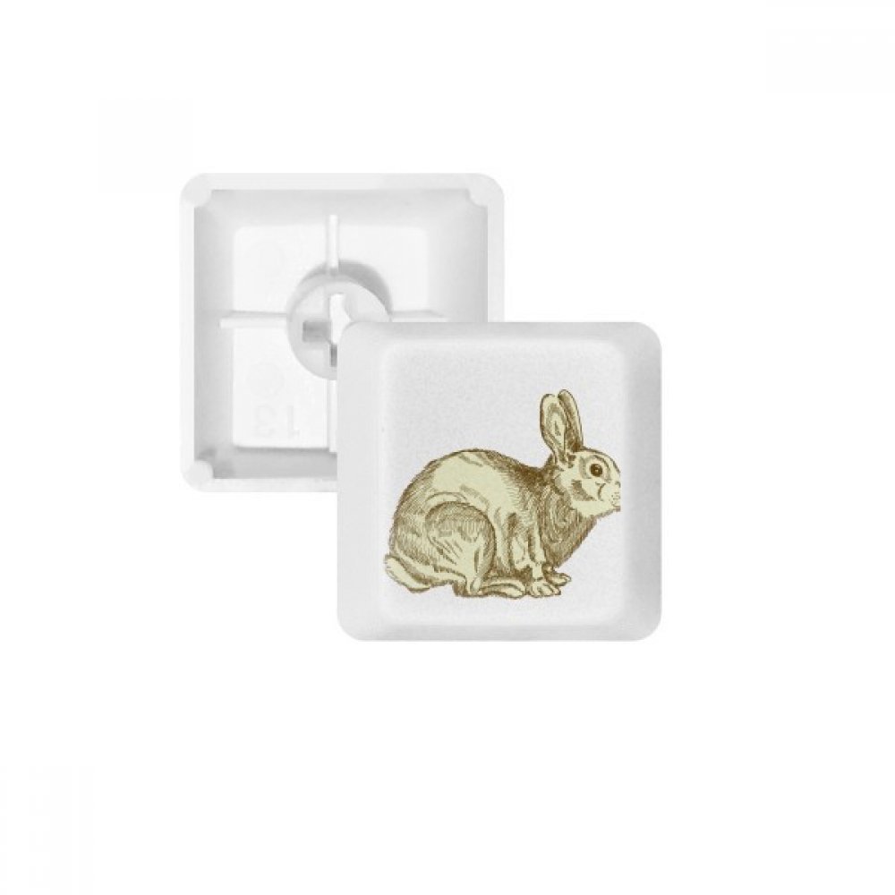 Lapin de Pâques Keycaps PBT Blancs pour un Setup Clavier Épuré