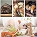 Edumov Hundespielzeug Quietschend, Waschbares Kauspielzeug Hund Unzerstörbar, Robustes Kuscheltier für Welpen und Kleine Hunde, Lustig Dog Toy Dino-Hundespielzeug Weihnachten