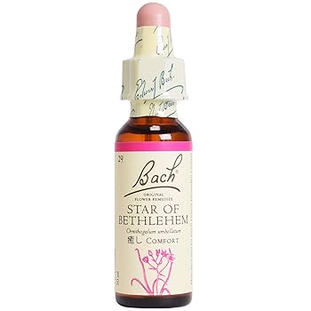 バッチフラワーレメディ　ディスプレイ バッチフラワーレメディ用 ディスプレイケース - メルカリ