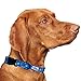 CUTIE TIES Dog Collar Hanukkahâ€“ Durable Nylon Material - Premium Quality Collars for Dogs - Fancy Collars - Cute Dog Collars in Three Sizes - Dog Collars for All Breeds - Size Medium (13