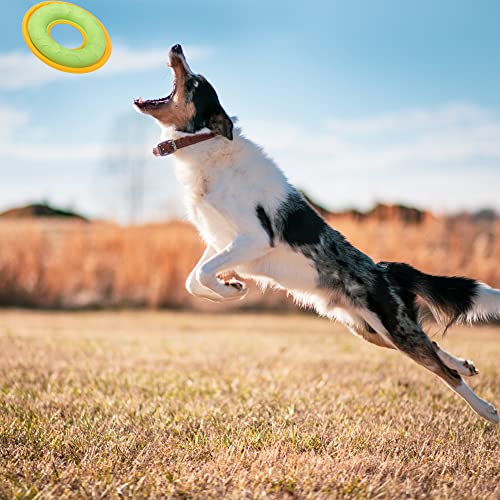Hongezey Indestructible Dog Flying Discs, Interactive Dog Flyer Toys, Feedable Lightweight Dog Catch And Fetch Toys For Small Medium Large Dogs, Floats In Water & Safe On Teeth, 9 Inch (Green, 1Pack) #TOP5