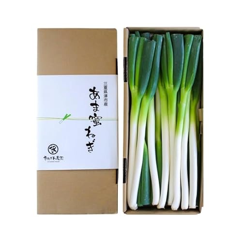[順次発送]あま蜜ねぎ 満足セット[野菜 ねぎ ネギ 長ネギ]