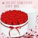 27 Forever Flowers in a Luxury Suede Box, Preserved Roses Birthday Gifts for Women, Romantic Anniversary Wedding Gifts for Women Her Girlfriend Wife, Red