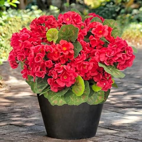 Guagb 4 Pcs Artificial Geraniums Cover