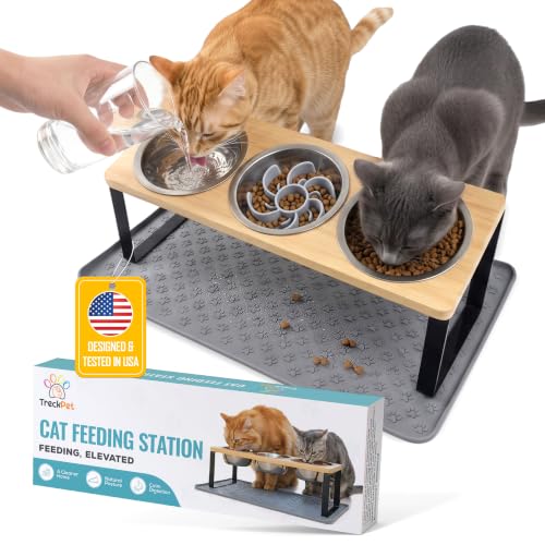 Elevated 3-Bowl Feeding Station