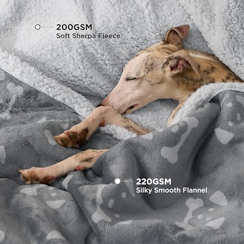 BEDSURE wasserdichte Hundedecke mittelgroße Hunde - 102x76cm Hundedecke waschbar, Decke Hund aus Sherpa Fleece, Katzendecke flauschig und weich, Grau